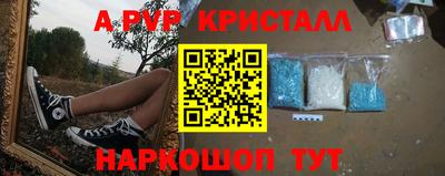 jwh Гусев