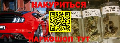 шишки Гусиноозёрск