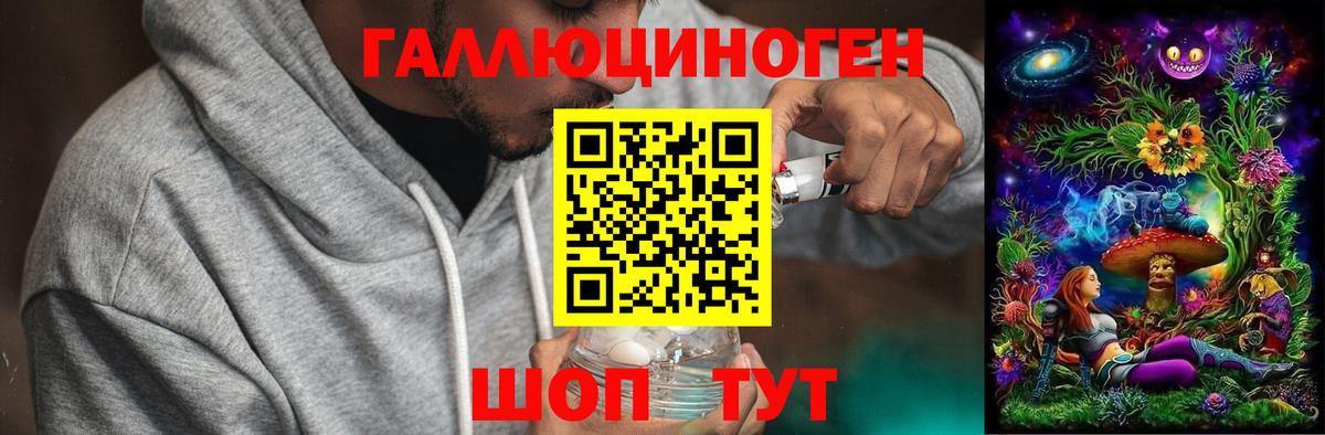 Новоалександровск  Галлюциногенные грибы Magic Shrooms  Псилоцибиновые грибы Psilocybine cubensis  Вход с VPN 