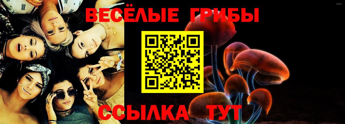 Псилоцибиновые грибы мицелий Новоалександровск